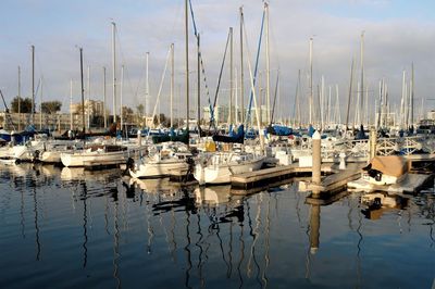 Sailboats moored at harbor