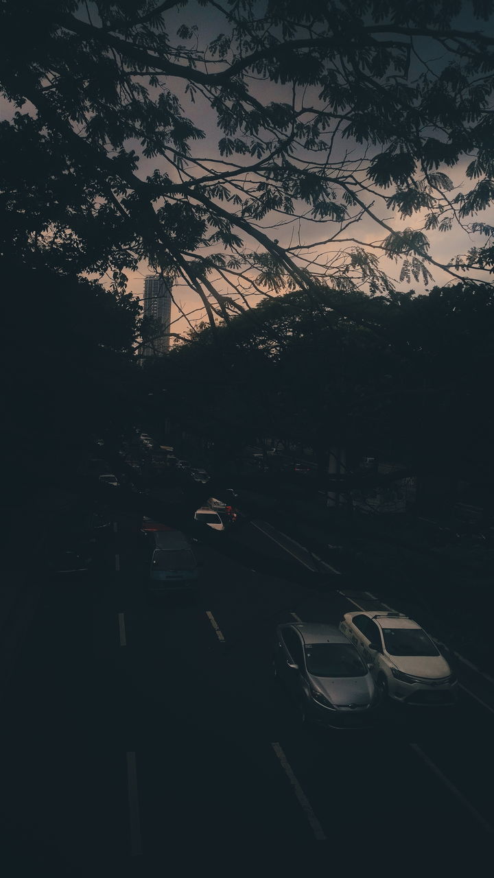 car, transportation, land vehicle, road, tree, mode of transport, traffic, street, no people, travel, outdoors, night, nature, city, sky