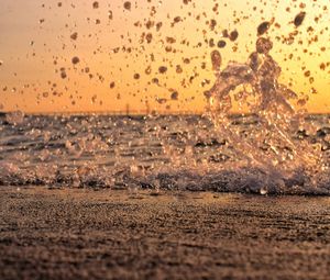 Birds flying over beach against sky during sunset