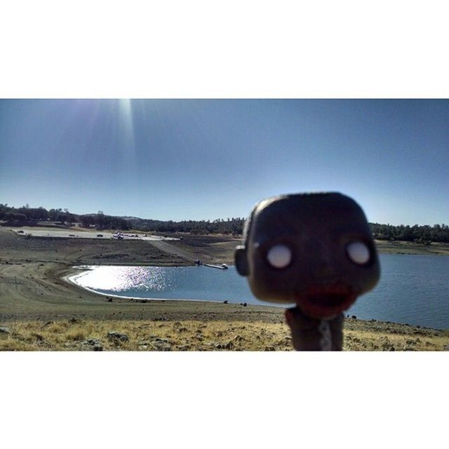 water, copy space, sky, auto post production filter, lake, one animal, transfer print, clear sky, river, sea, nature, day, outdoors, portrait, blue, no people, close-up, reflection, tranquility, animal themes