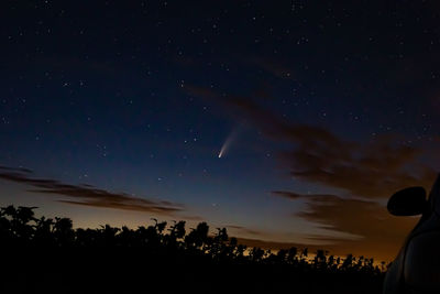 Low angle view of silhouette trees against sky at night