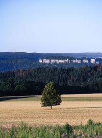 Trees on field against clear sky