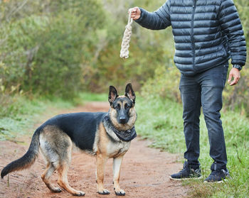 Rear view of man with dog on field