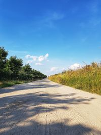 Surface level of road amidst trees against blue sky