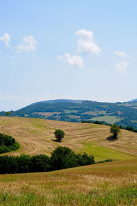 Scenic view of agricultural field against sky