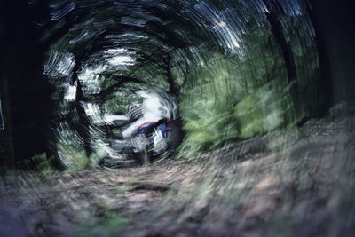 Road passing through trees