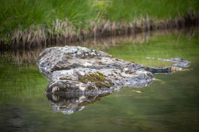 Water flowing through rocks