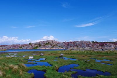 Scenic view of landscape against blue sky