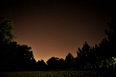 Silhouette trees on field against sky at night