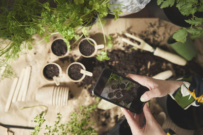 Woman photographing while planting flowers