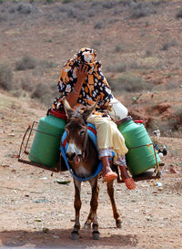 Woman sitting on donkey at field