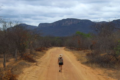 Rear view of man walking on desert road in sertão baiano