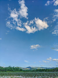 Scenic view of landscape against blue sky