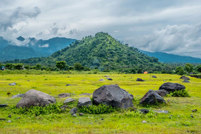 Scenic view of landscape against sky