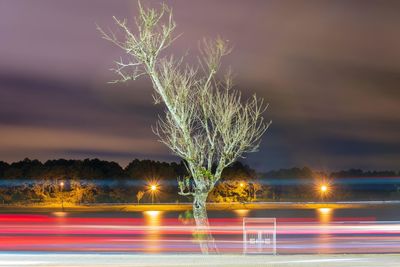 Light trails by lake against sky at night