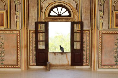 Pigeon perching on window of old building