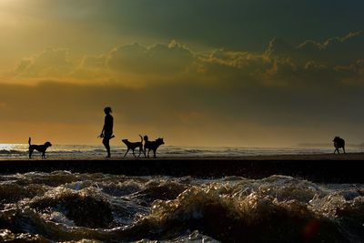 Silhouette woman and dogs on pier amidst water against cloudy sky during sunset
