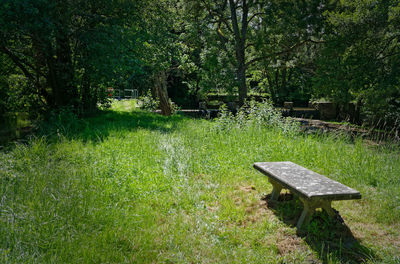 View of green landscape
