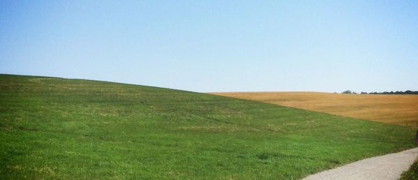 Scenic view of grassy field against clear sky