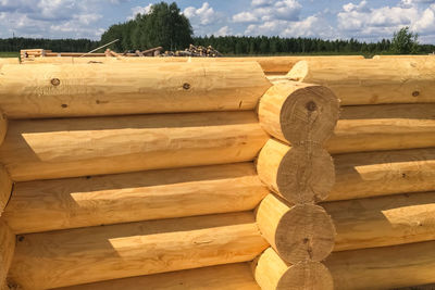 Stack of logs in forest