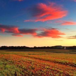 Scenic view of landscape against sky at sunset