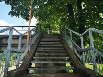 Low angle view of steps amidst trees in forest