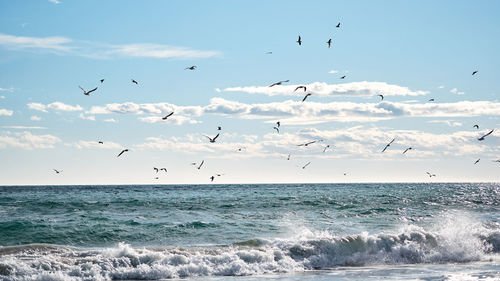 Flock of seagulls flying over sea