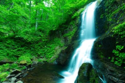 View of waterfall in forest