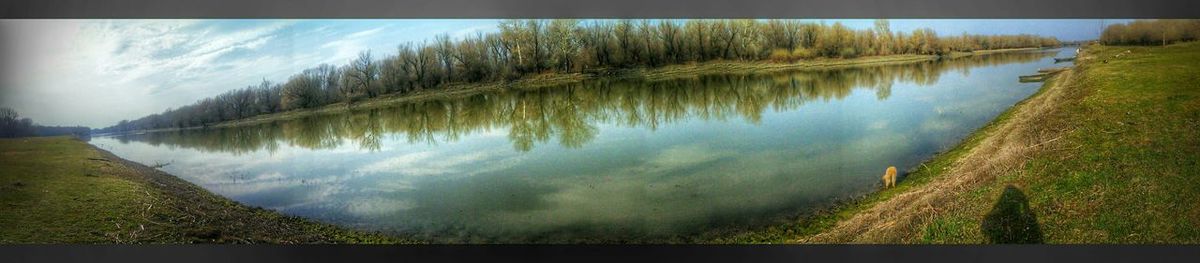 Reflection of trees in lake