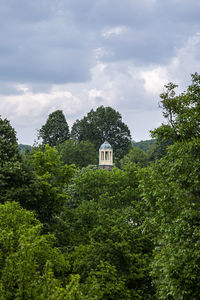 Plants and trees by building against sky