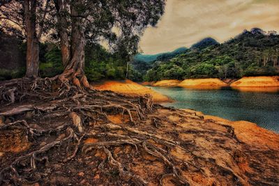 Scenic view of trees and mountains against sky