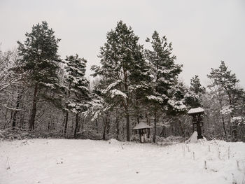 Trees on snow covered field against sky