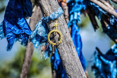 Low angle view of rope hanging on tree trunk