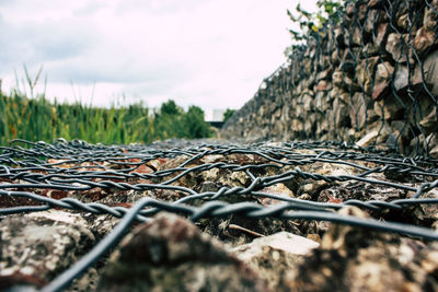 Close-up of rusty chain on field against sky