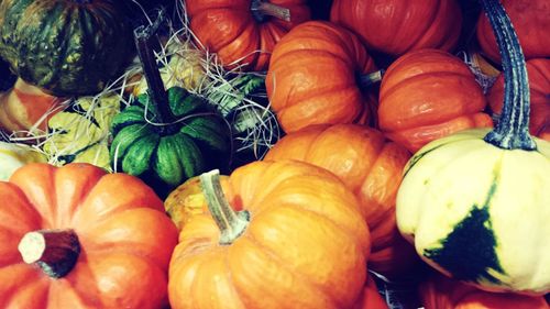 Full frame shot of pumpkins