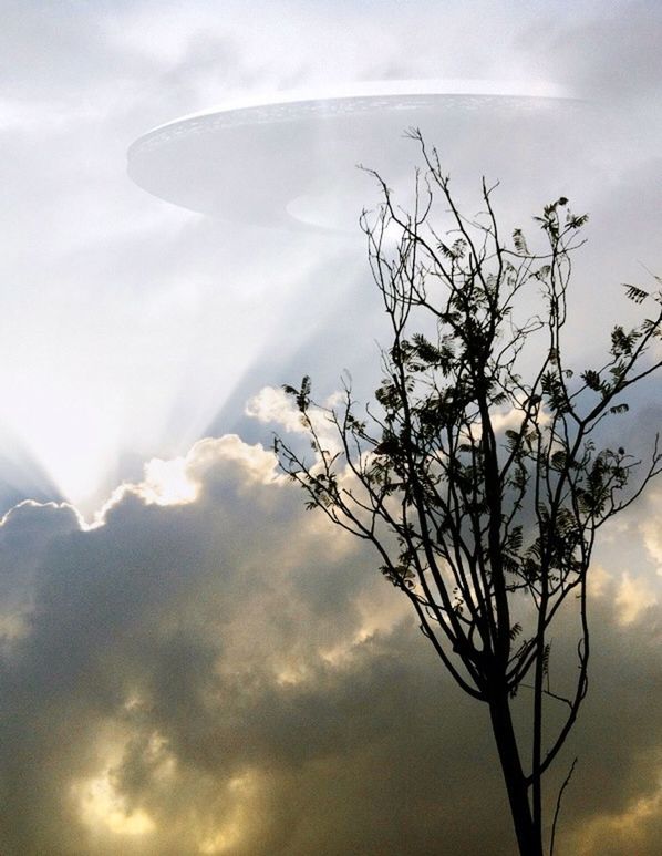 sky, low angle view, cloud - sky, branch, tree, bare tree, silhouette, tranquility, nature, beauty in nature, cloudy, scenics, cloud, tranquil scene, sun, sunset, no people, outdoors, dusk, day