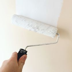 Close-up of hand applying paint on wall using roller