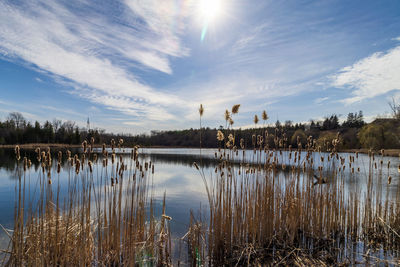 Scenic view of lake against sky