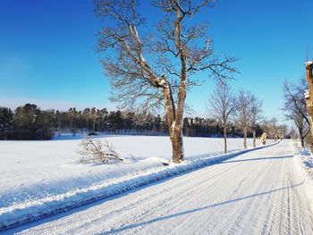 Trees on snow covered field against sky