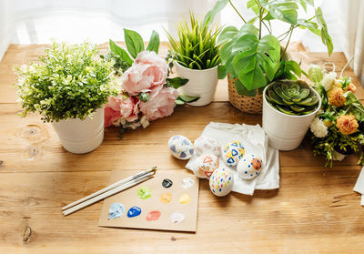 High angle view of potted plant on table