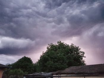 Trees and houses against dramatic sky