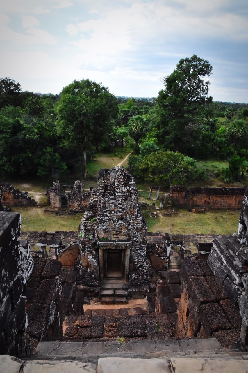 TEMPLE AGAINST TREES