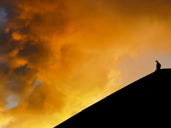 Low angle view of silhouette bird against orange sky