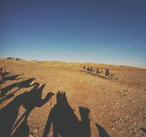 Scenic view of landscape against clear sky