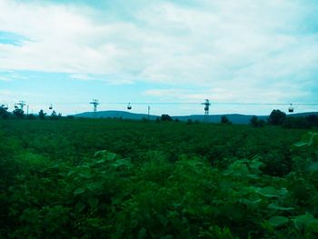 Scenic view of field against cloudy sky