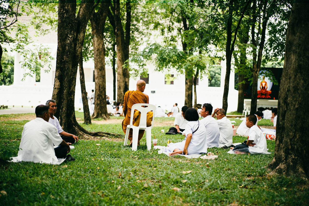 tree, men, lifestyles, leisure activity, person, rear view, grass, togetherness, full length, casual clothing, sitting, bonding, tree trunk, love, day, green color, park - man made space, built structure