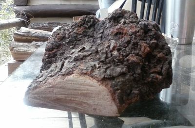 Close-up of bread on wood