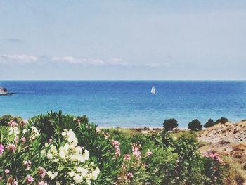 Scenic view of sea against sky