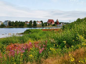 Scenic view of grassy field by buildings against sky