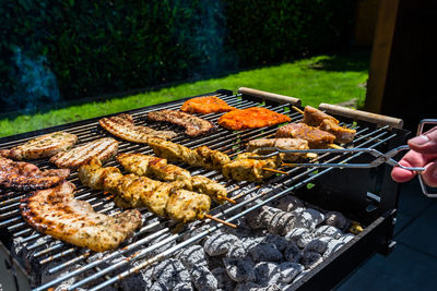 Different types of meat fried on the home grill, standing on a home garden on the paving stone.